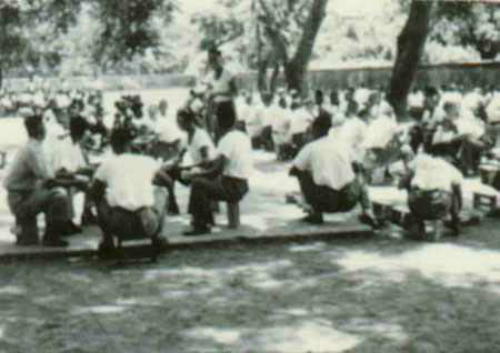 3-219