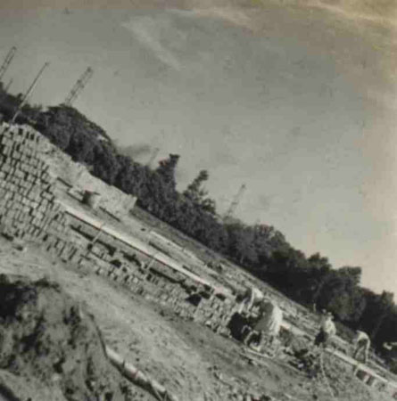 10-146
