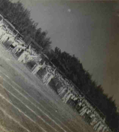 10-245