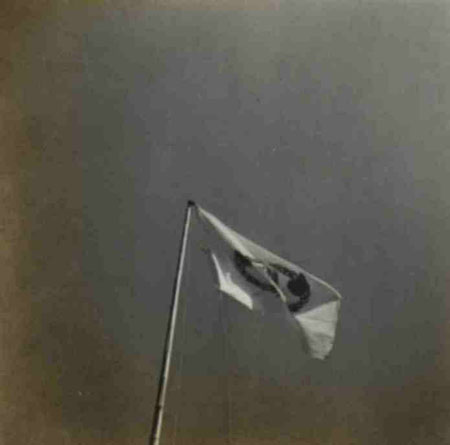10-254