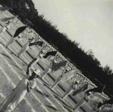 10-259