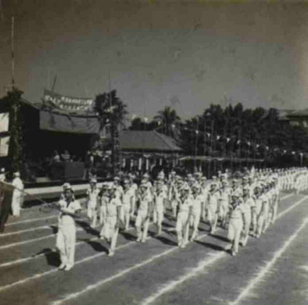 10-264