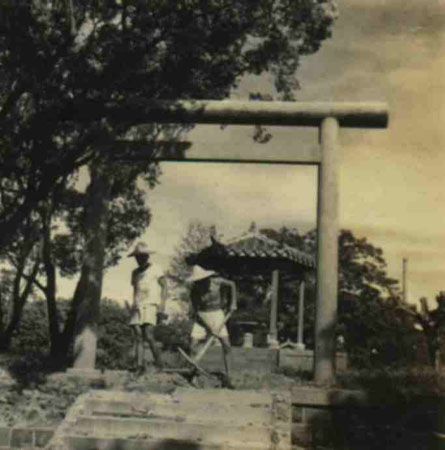 11-46