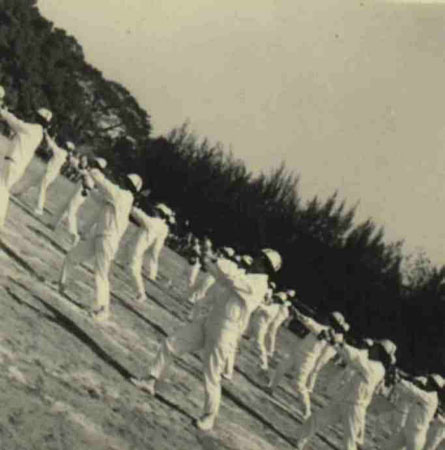 11-229