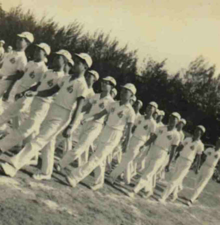 11-231