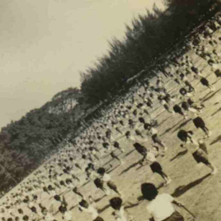 11-239