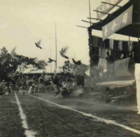 11-374
