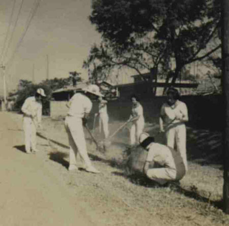 12-264
