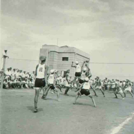 2-36
