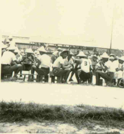 3-36