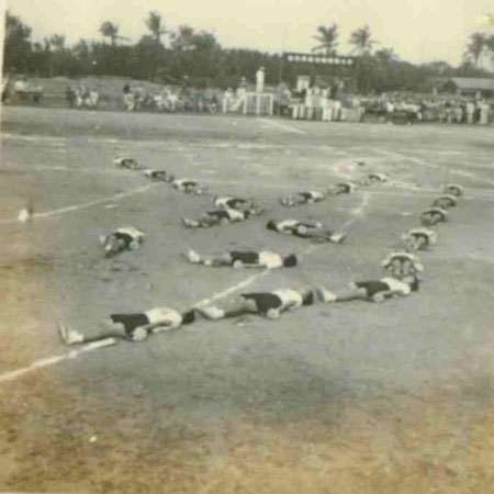 3-131