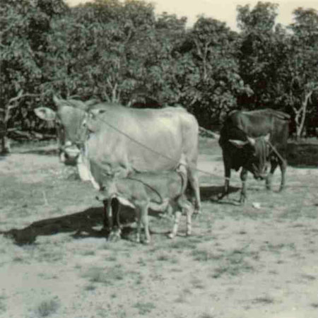 3-197