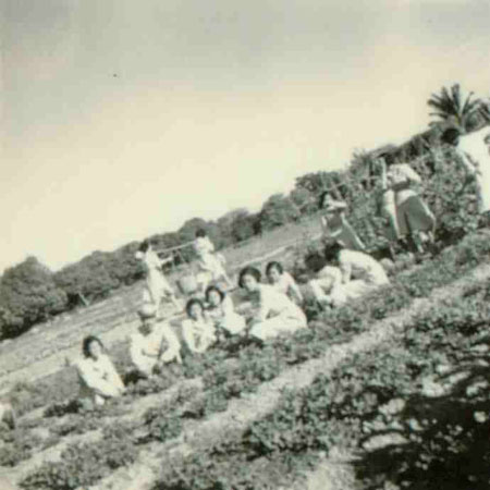3-209