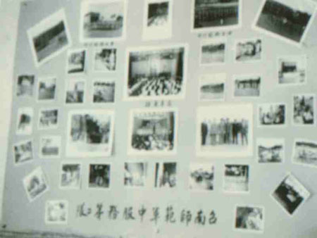3-239