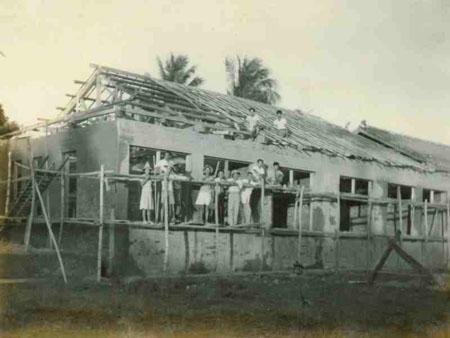 3-294