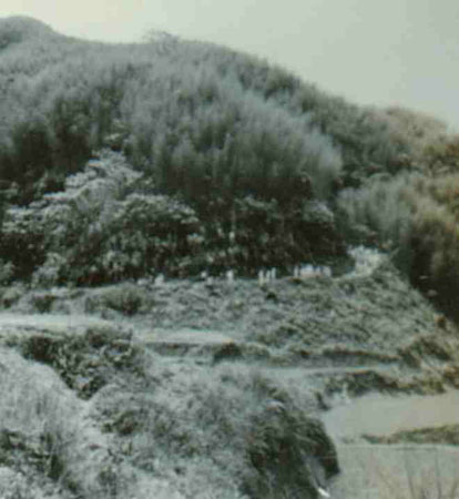 4-96