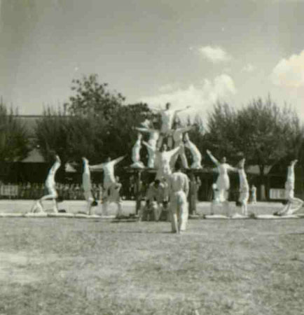 4-281