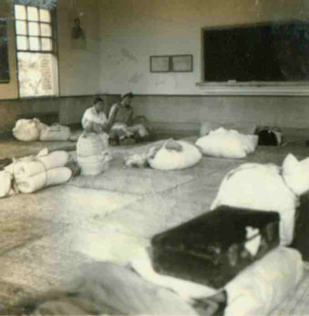 5-86