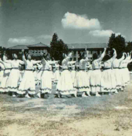 5-295