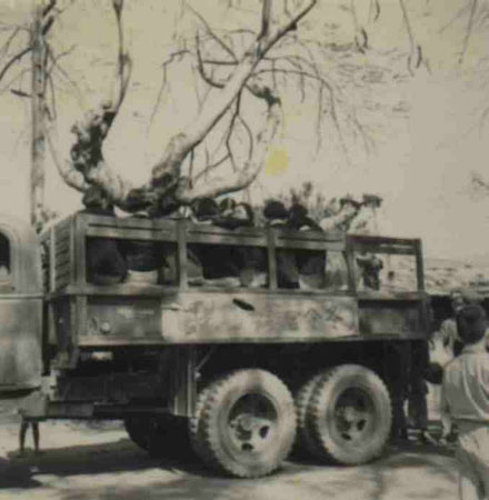 7-56