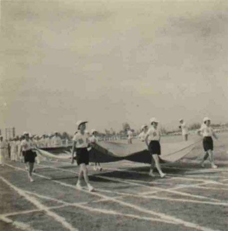 8-155