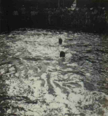 9-204